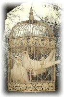 /album/fotogaleria/holuby-klietka-biela-jpg/